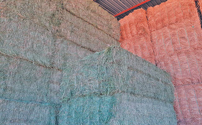 Growing your own livestock feed Growing your own livestock feed
