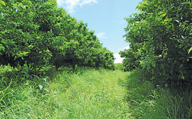 Give your orchards the health coverage they deserve