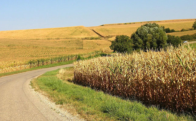 Fears about crop yields in France as drought persists Fears about crop yields in France as drought persists