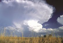 Below-average rainfall expected for most of SA