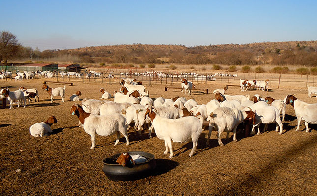 ‘Food security and the safety of rural communities go hand in hand’ ‘Food security and the safety of rural communities go hand in hand’