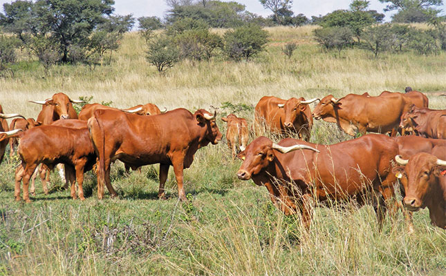 Using DNA sampling to deter stock thieves