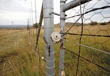 SA could be in for more riots as inflation rises