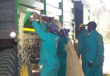 ‘Agri job figures positive, despite quarter-on-quarter decrease’