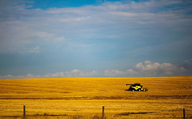 Canada’s commodity exports surge amid global economic slowdown Canada’s commodity exports surge amid global economic slowdown