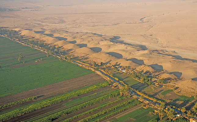 Egypt: the world’s biggest exporter of oranges Egypt: the world’s biggest exporter of oranges