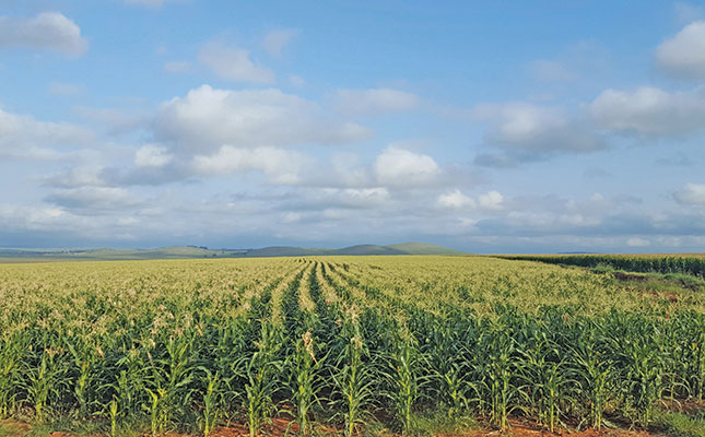 Seizing the opportunity in SA’s seed market Seizing the opportunity in SA’s seed market