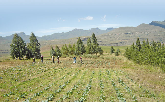 The benefits of conservation agriculture The benefits of conservation agriculture