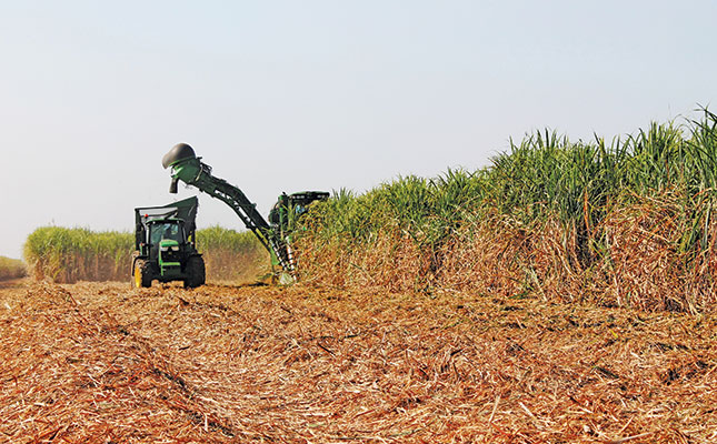 Factors hampering SA’s sugar industry Factors hampering SA’s sugar industry