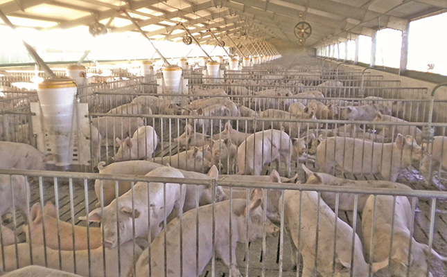 Havoc in China as crops, livestock suffer under extreme heat Havoc in China as crops, livestock suffer under extreme heat