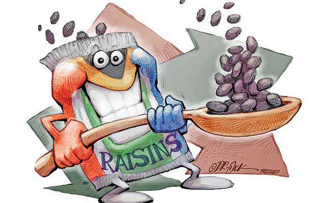 Logistics: the weak link in SA’s raisin industry Logistics: the weak link in SA’s raisin industry