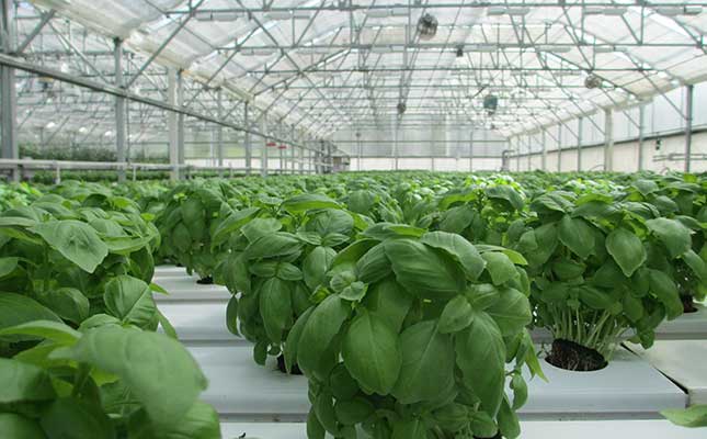 Tech innovation helps farmers with climate-smart transition Tech innovation helps farmers with climate-smart transition