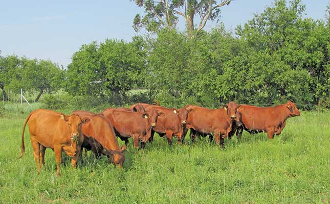 ‘FMD restrictions are late, but necessary’