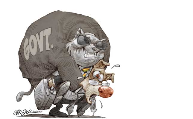 ‘Free’ the private sector – and watch SA thrive!