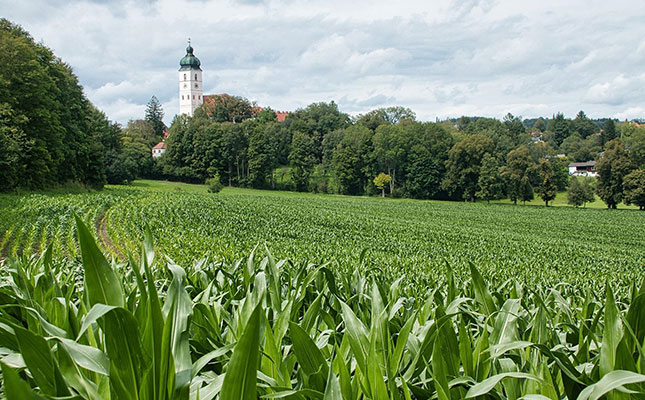 Fertiliser shortage threatens farming, food security in Europe Fertiliser shortage threatens farming, food security in Europe