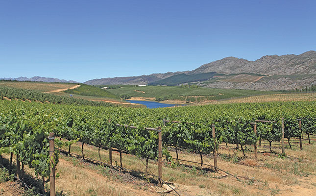 SA’s vineyards need climate-proofing SA’s vineyards need climate-proofing