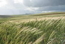 Agri stakeholders express concern about passing of Expropriation Bill