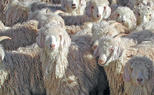Treating seedy mohair
