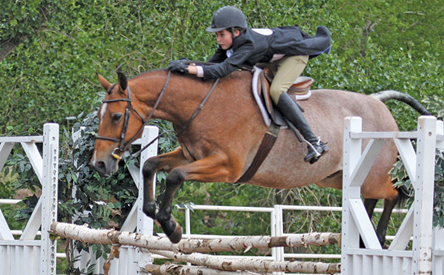 Regenerative medicine for horses Regenerative medicine for horses
