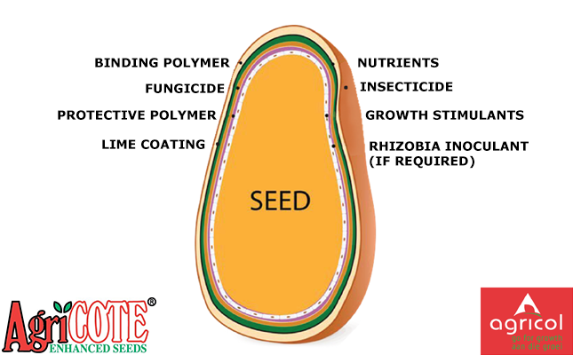 Are your seeds coated with advanced technology? Are your seeds coated with advanced technology?