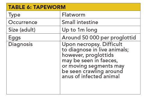 Threadworm Sheep Beware of these five parasites in sheep