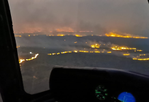 Northern Cape farmers suffer devastating losses in wildfires