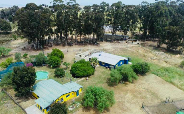 Cannabis farm for sale in Atlantis, Cape Town Cannabis farm for sale in Atlantis, Cape Town