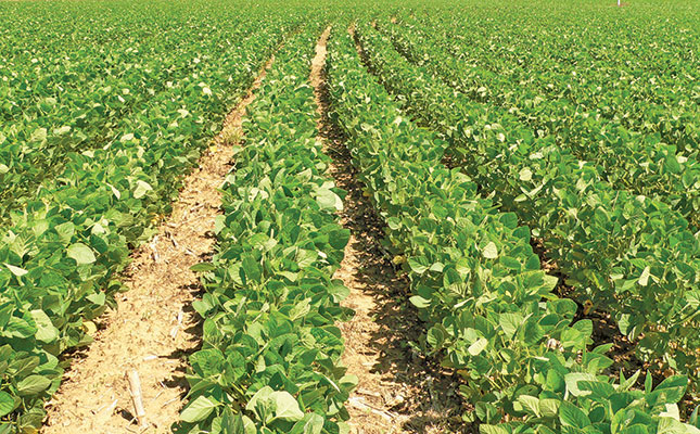 Innovations in soya bean crop production Innovations in soya bean crop production