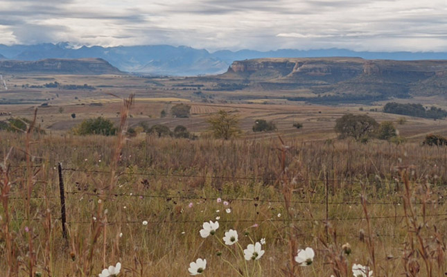 Rampant crime in Lesotho-border region takes its toll on farmers Rampant crime in Lesotho-border region takes its toll on farmers