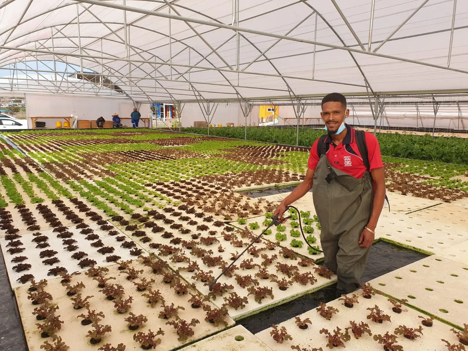 Afrika Tikkun Foundation seeks to develop the youth’s agri skills