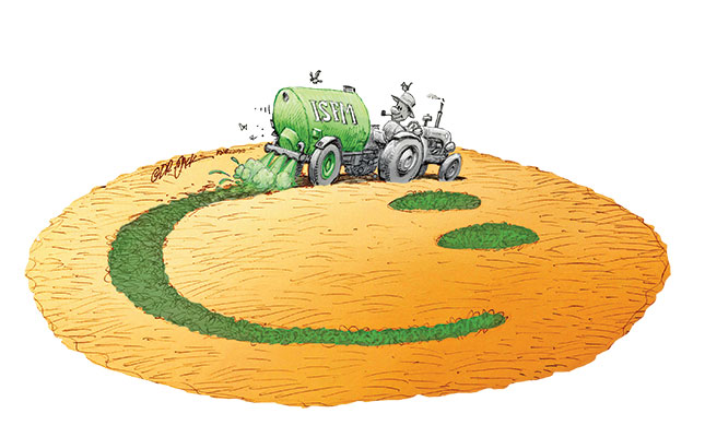 Fertiliser alternatives can improve crop yields Fertiliser alternatives can improve crop yields