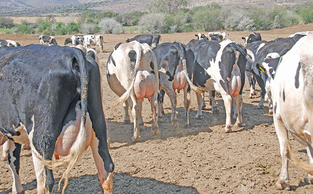 Mastitis: prevention is better than cure Mastitis: prevention is better than cure