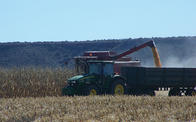 ‘Political infighting is hindering agri investment and job creation’