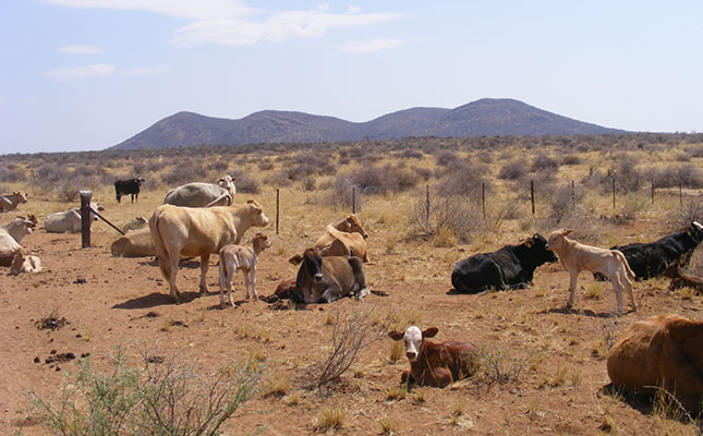 First global study on the effects of livestock grazing First global study on the effects of livestock grazing