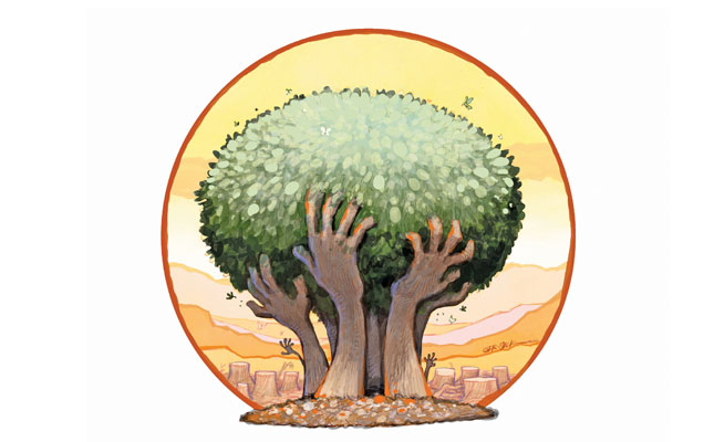 Smallholders’ role in protecting our forests Smallholders’ role in protecting our forests