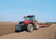 Diesel price to drop in December but petrol price hike looms