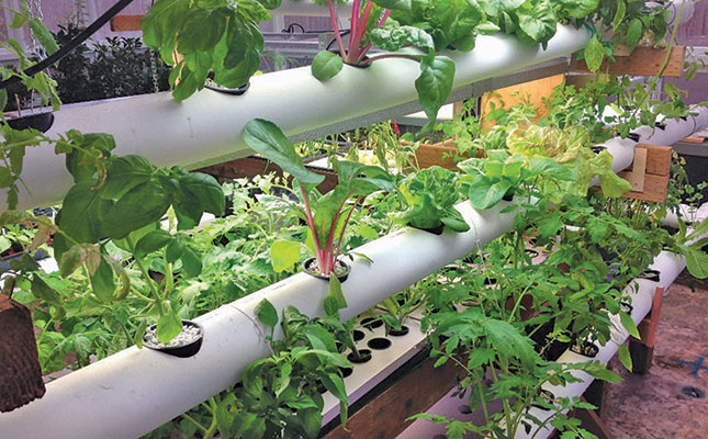 Boosting agricultural productivity via small-scale vertical farming Boosting agricultural productivity via small-scale vertical farming