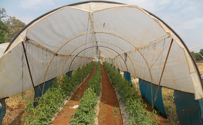 How to make a simple, sturdy plastic tunnel at minimal cost