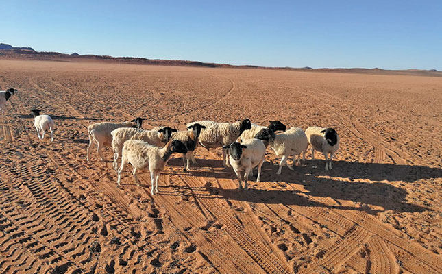 Northern Cape farmers’ drought misery continues Northern Cape farmers’ drought misery continues