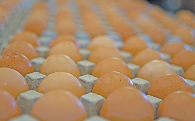 Accusations of price gouging as US egg profits soar Accusations of price gouging as US egg profits soar