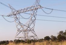 Rolling blackouts: SA irrigation farmers at the risk of losing all