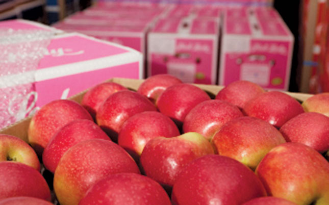 Correct fresh produce packaging could aid growth Correct fresh produce packaging could aid growth