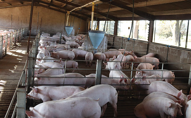 African swine fever spreads to commercial farm African swine fever spreads to commercial farm