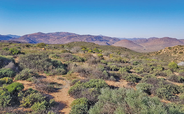 Protecting the jewel in SA’s biodiversity crown Protecting the jewel in SA’s biodiversity crown