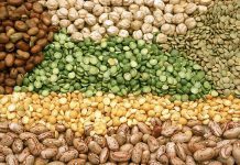 Increasing the production of pulses will benefit people and planet