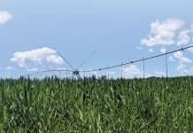 Role players hope to see government support agri sector in Budget Speech