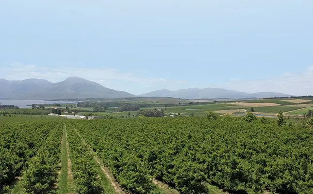 ‘Africa must invest more in agriculture’