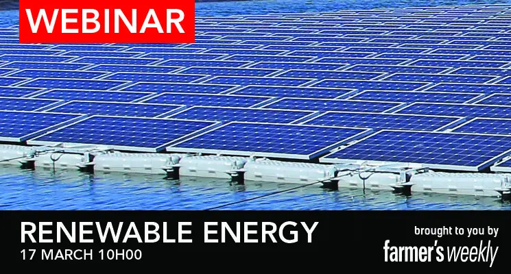 Webinar: Is renewable energy really a solution to the electricity crisis?