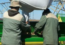 Drop in agri employment a cause for great concern – Agri SA