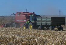 Second grain crop estimate points to favourable season